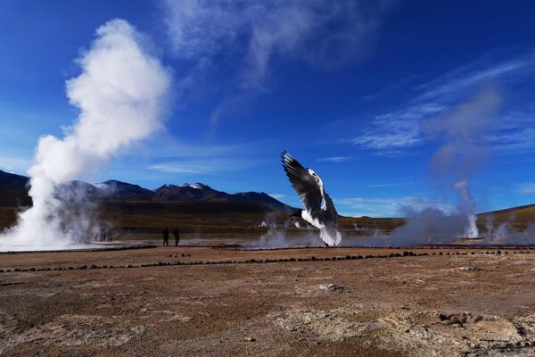 Géisers del Tatio y Machuca