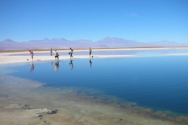 Laguna Céjar, Ojos del Salar y Laguna Tebinquinche