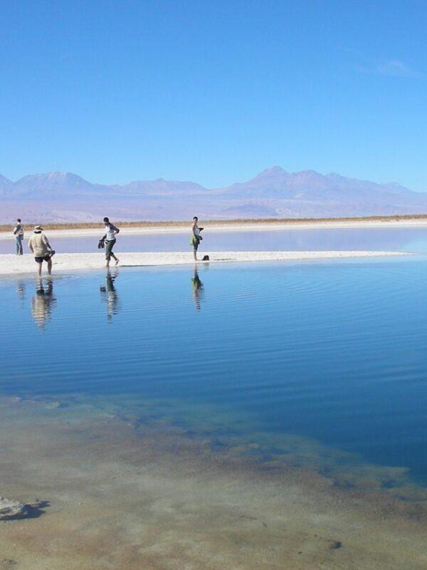 Laguna Céjar, Ojos del Salar y Laguna Tebinquinche