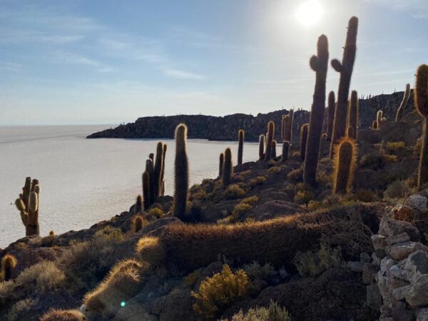 Uyuni – San Pedro o Uyuni  / 3 días y 2 noches / VIP