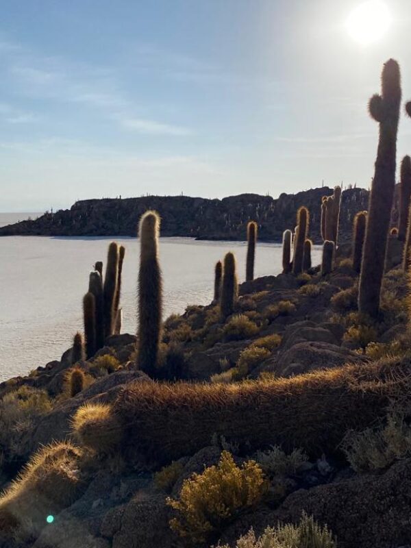 Uyuni – San Pedro o Uyuni  / 3 días y 2 noches / VIP