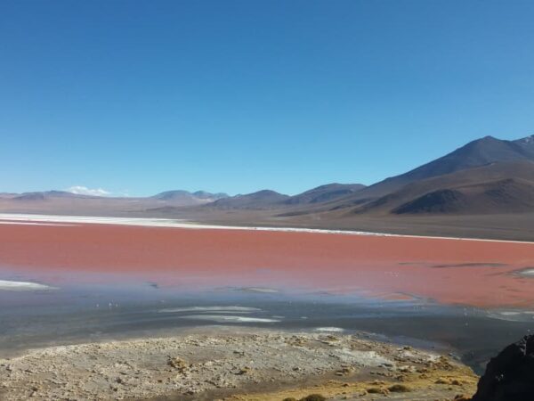 Uyuni con retorno a San Pedro / 4 días y 3 noches / Colectivo