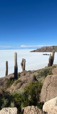 WhatsApp Image 2025-11-13 at 8.28.52 AM